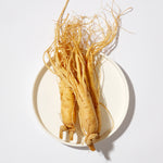 Panax Ginseng